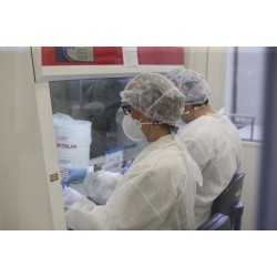 Casos da Influenza H3N2 são registrados em Campo Largo